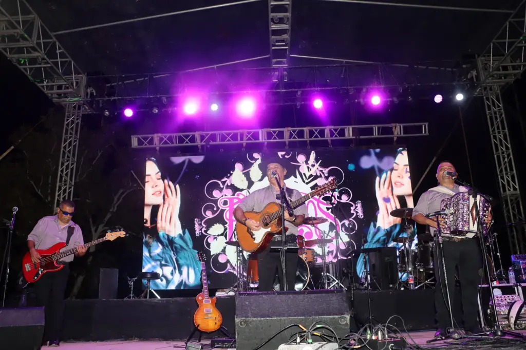 Palomino Fest & Rodeo